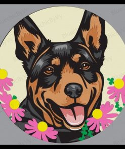 Australische Kelpie