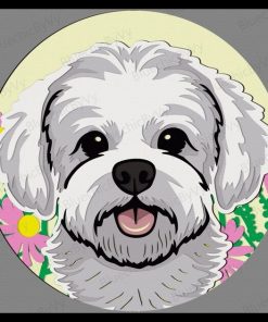 Bichon frisé