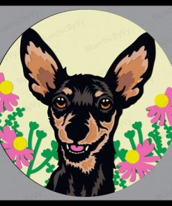 Dwergpinscher