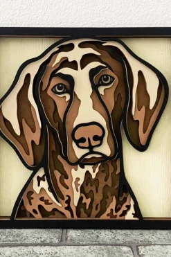 Duitse Kortharige Pointer