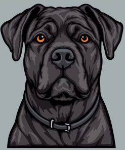 Cane Corso