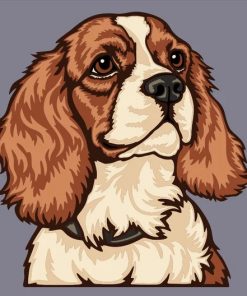 Cavalier King Charles spaniël