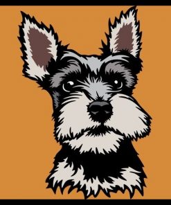 Dwergschnauzer