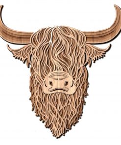 Highland Cow