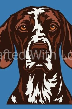 Duitse Kortharige Pointer