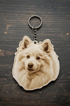 American Eskimo 🐾