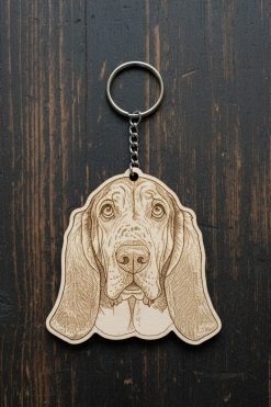 Basset Hound 🐾