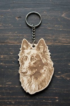 Belgian Groenendael 🐾