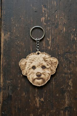 Bichon Frise 🐾