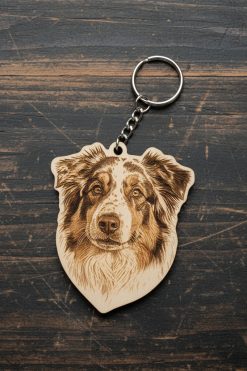 Australian Shepherd 🐾