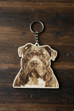 American Bully 🐾