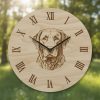 Chesapeake Bay Retriever