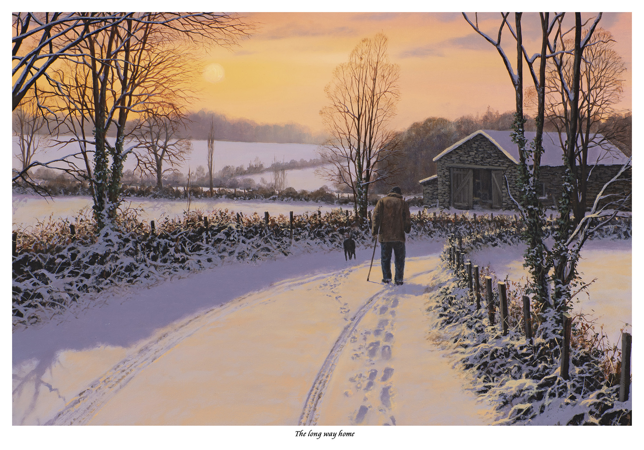 Snow Scenes - Craig Long Gallery