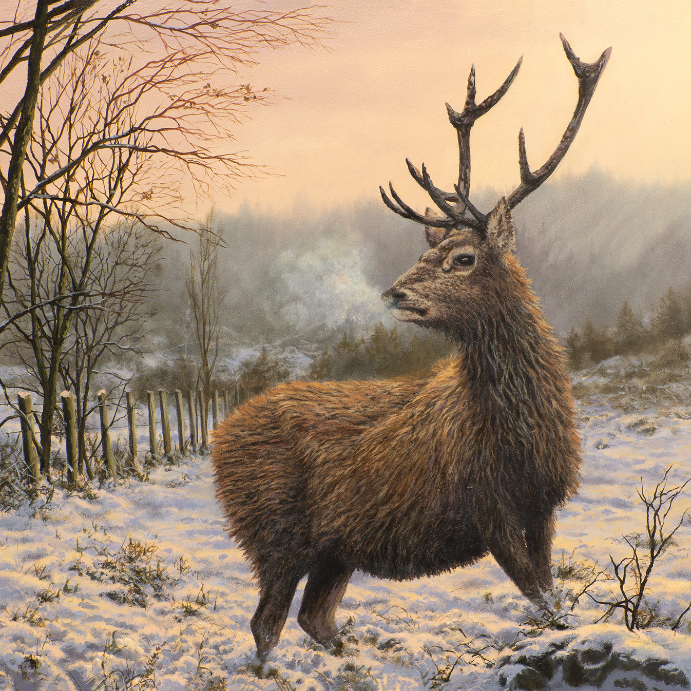 Stag in Winter Original Oil Painting by Lakes Artist Craig Long