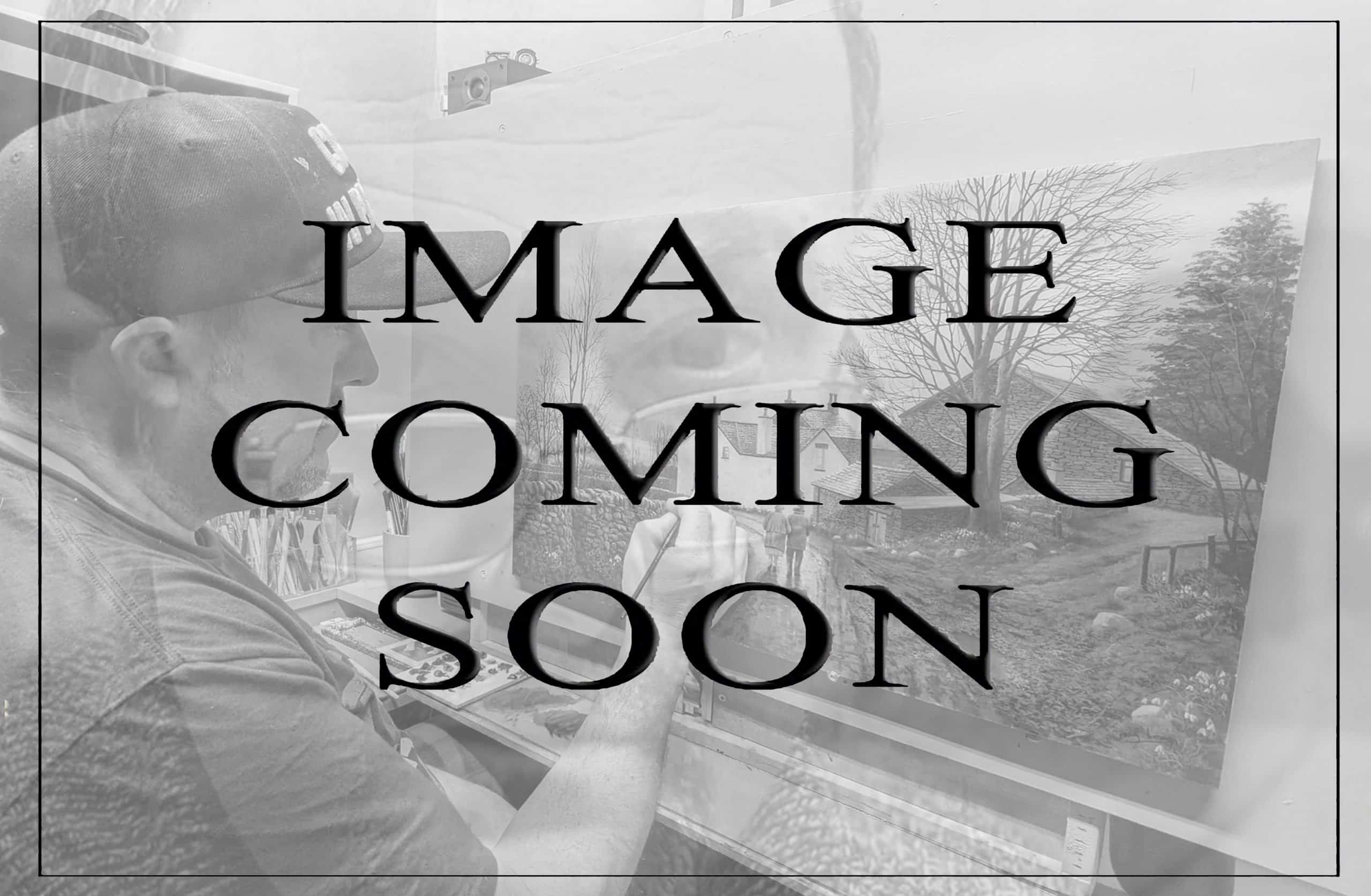 Awaiting product image