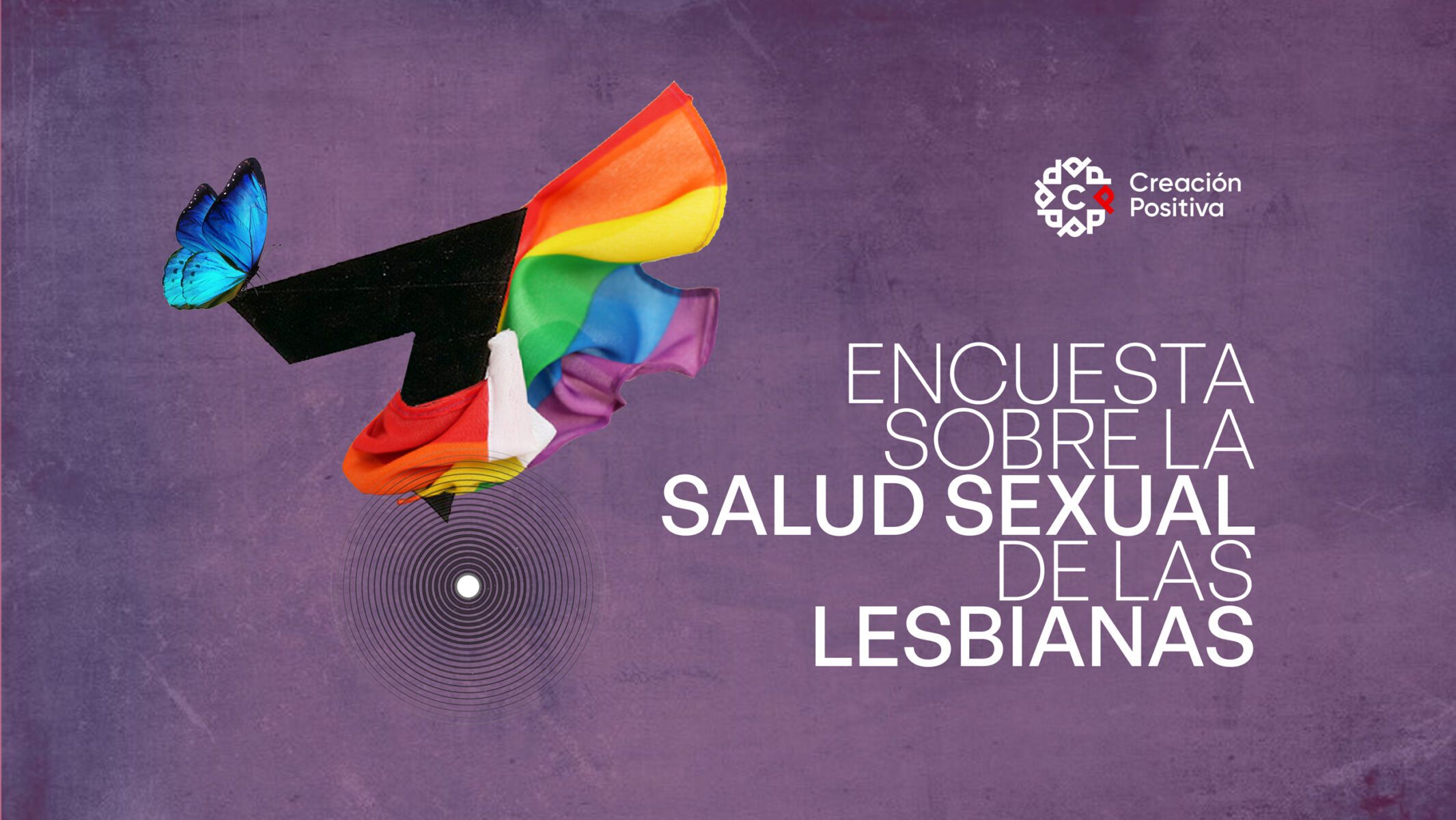 Encuesta Sobre La Salud Sexual De Lesbianas Bisexuales Intersex Y Trans Creación Positiva