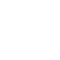 Icon Sinn