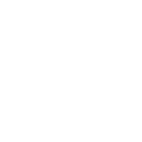 Icon Workshops