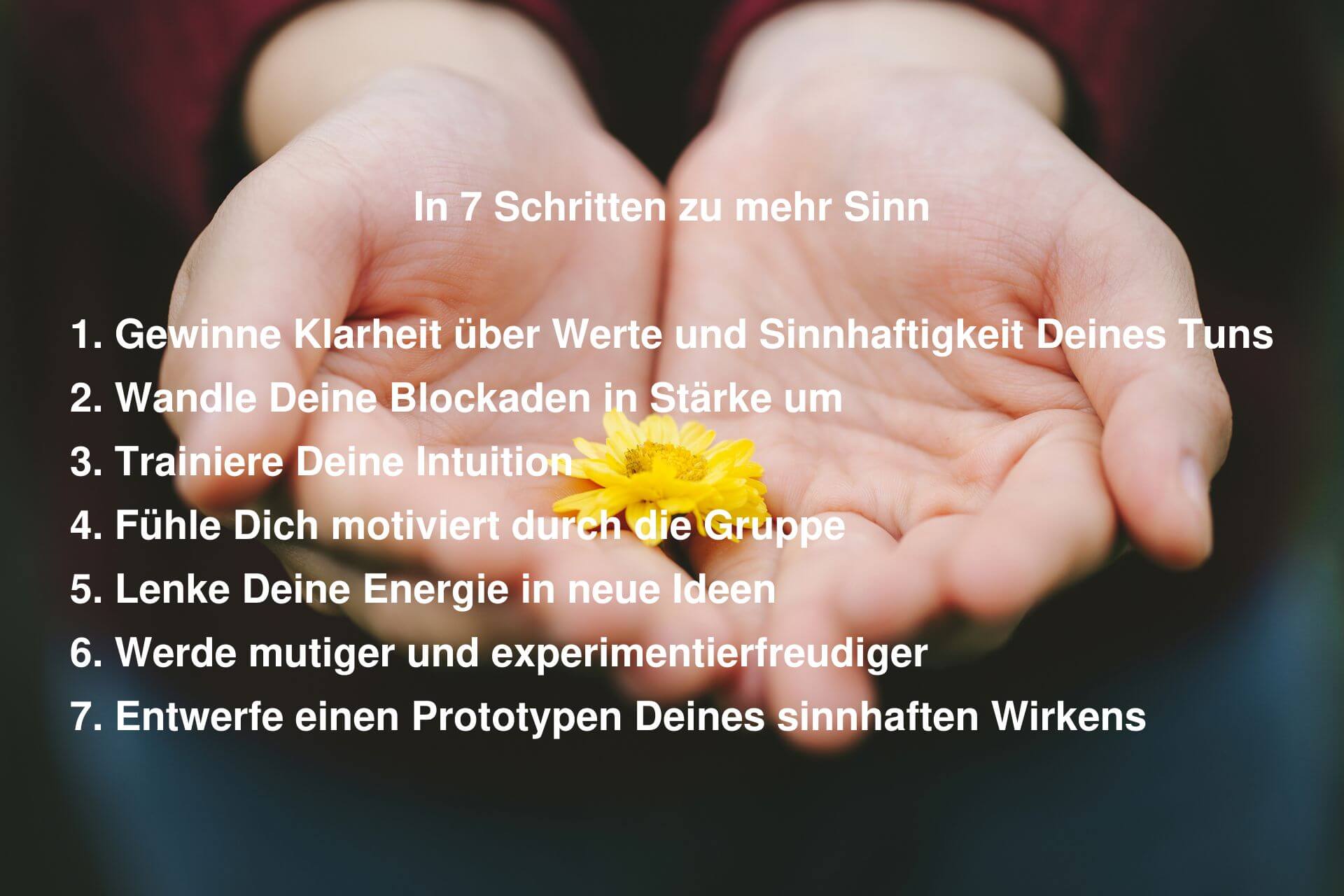 create-encounter-7-Schritte-zu-mehr-Sinn1920×1280