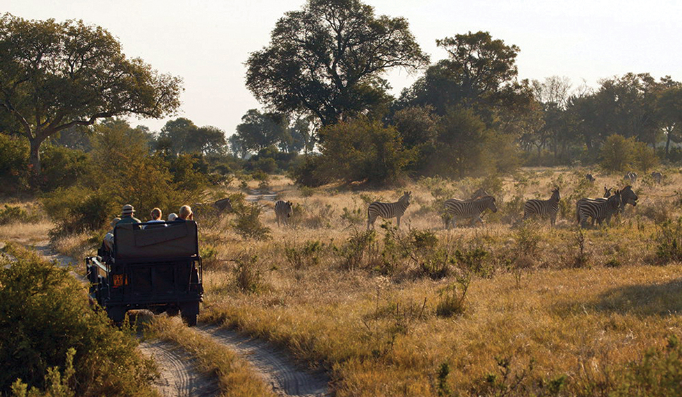 Safari viewing zebras in Botswana at the Vumbura Plains