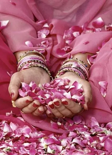 pink petals in my hand