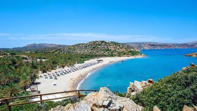 Vai er den største palmestranden på Kreta
