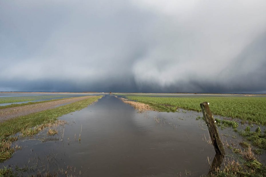 Kraftig regn- og haglbyge over oversvømmelserne i Kongeåmarsken , Danmark  - Crex Naturkalender 2021 December Måned