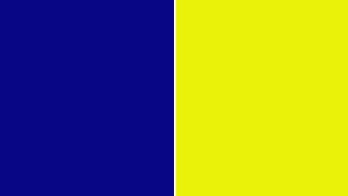 Blå og gul, Farver på veste, Flagposter, Fotografer, MX, Motocross, Crossbladet, MX Nyheder, Motocross Nyheder