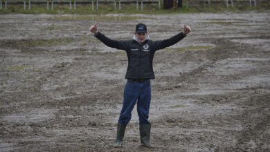 Jacob Melgaard, Svendborg, DM 2024, MX DM 2024, MX, Motocross, Crossbladet.dk