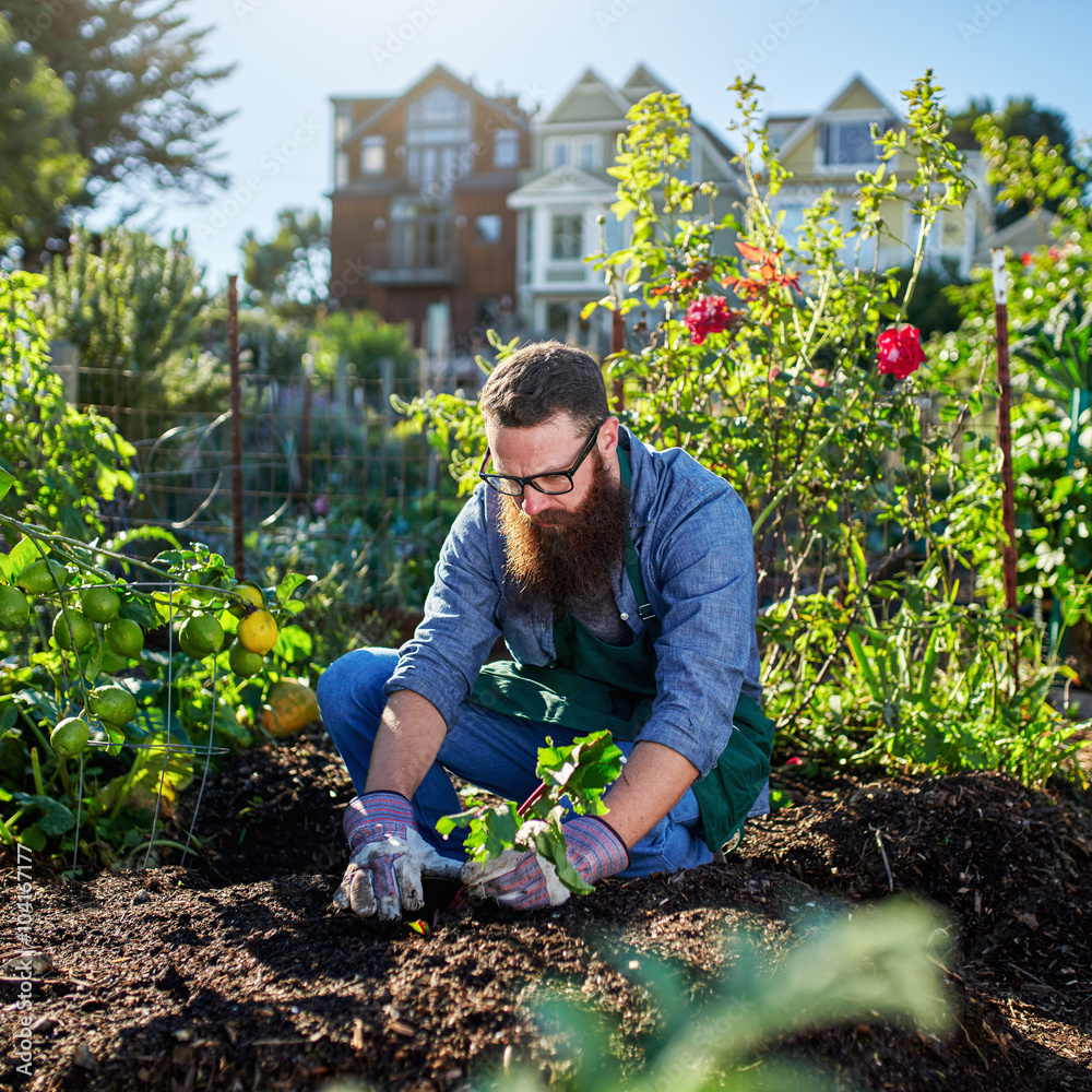 https://usercontent.one/wp/www.crownlandscapes.co.uk/wp-content/uploads/2022/02/AdobeStock_104167177_Preview.jpeg