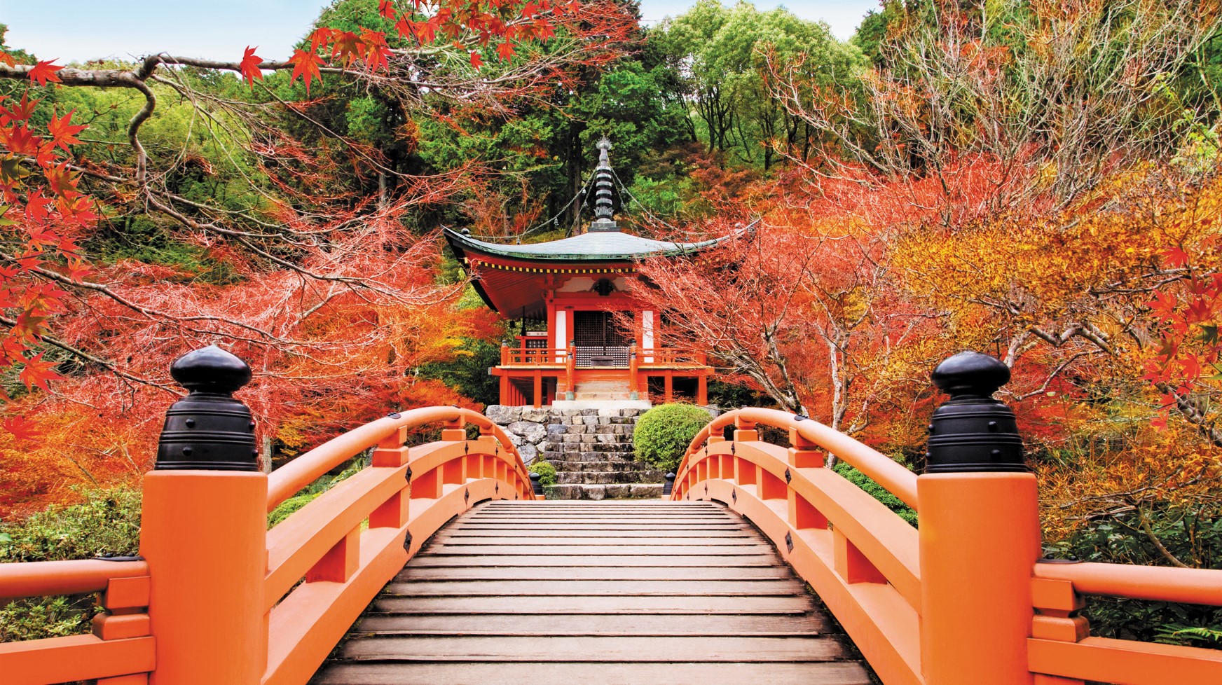 Regent Seven Seas Cruises tempts luxury travelers with 20252026 Voyage