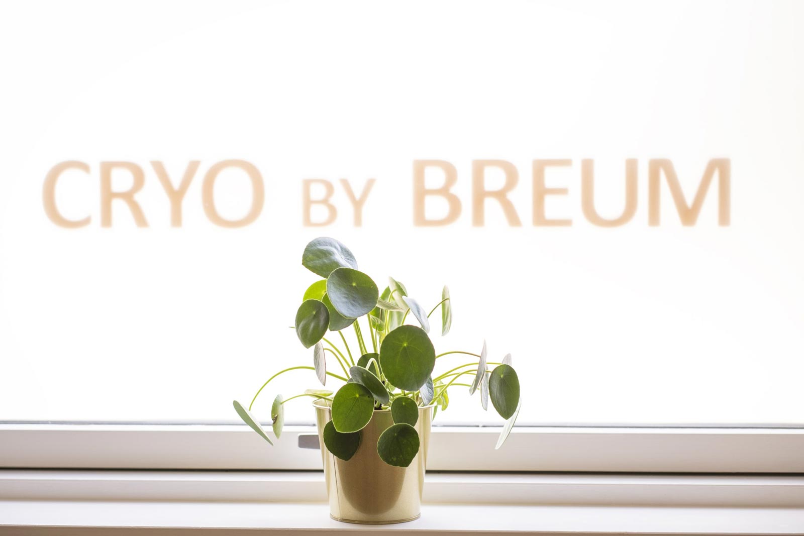 Cryo by Breum vindue
