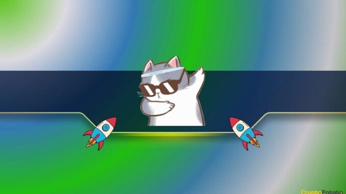 Meme Coin Revival as These Cat-Themed Tokens Lead the Rally: Meme Coin Revival as These Cat-Themed Tokens Lead the Rally: Details