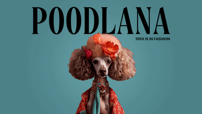 Poodlana price prediction: will it rise despite the post-presale decline?