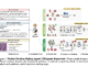 MDAgents: A Dynamic Multi-Agent Framework for Enhanced Medical Decision-Making with Large Language Models