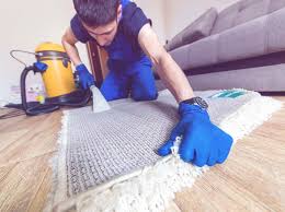 download 2 rug cleaning