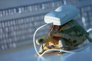 Trager computer