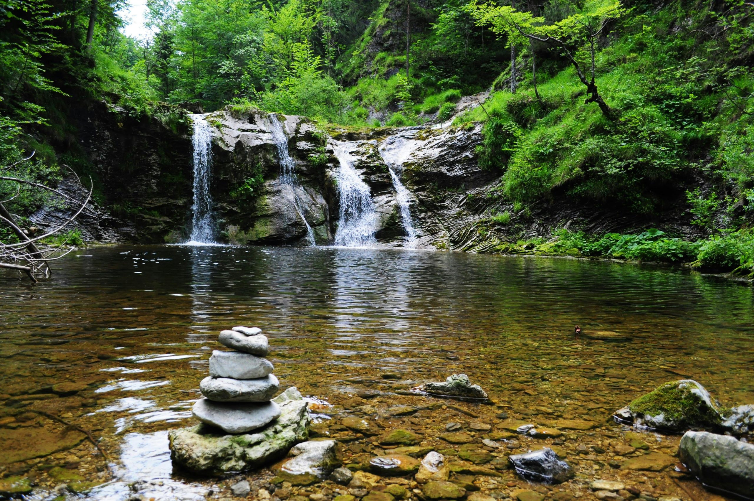 Picnics junto al río