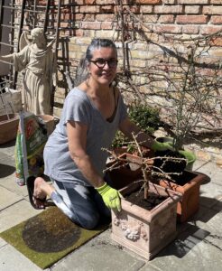 Garten-Gartenarbeit-Pflanzen-Terracotta-cultureandcream-blogpost