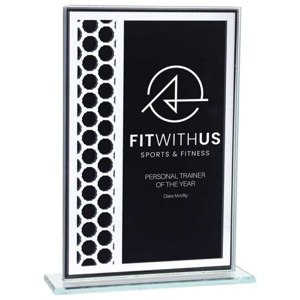 Titanium Mirrored Glass Award Black 160mm