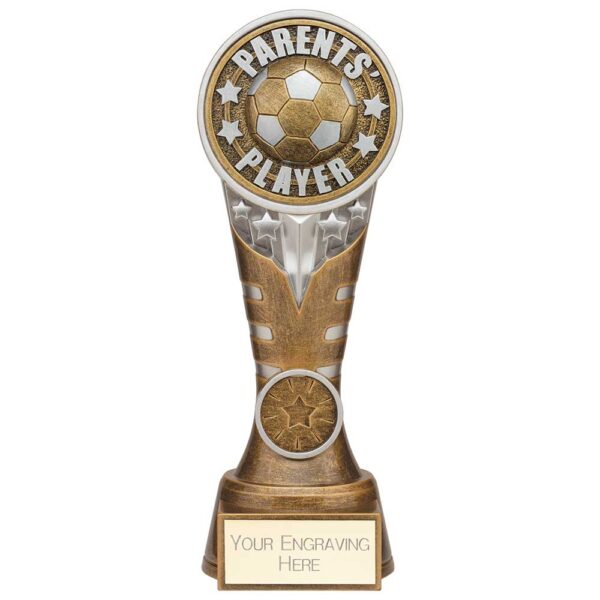 Ikon Tower Parents Player Award Antique Silver & Gold 200mm