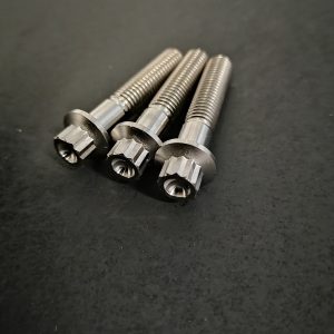 12 Point Flange Bolts