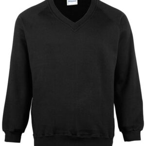 Kids Coloursure™ v-neck sweatshirt