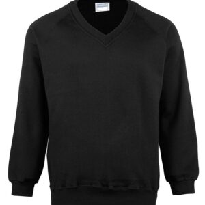 Coloursure™ v-neck sweatshirt