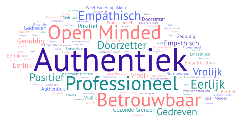 Wordcloud talenten zelfkennis omgevingsbevraging