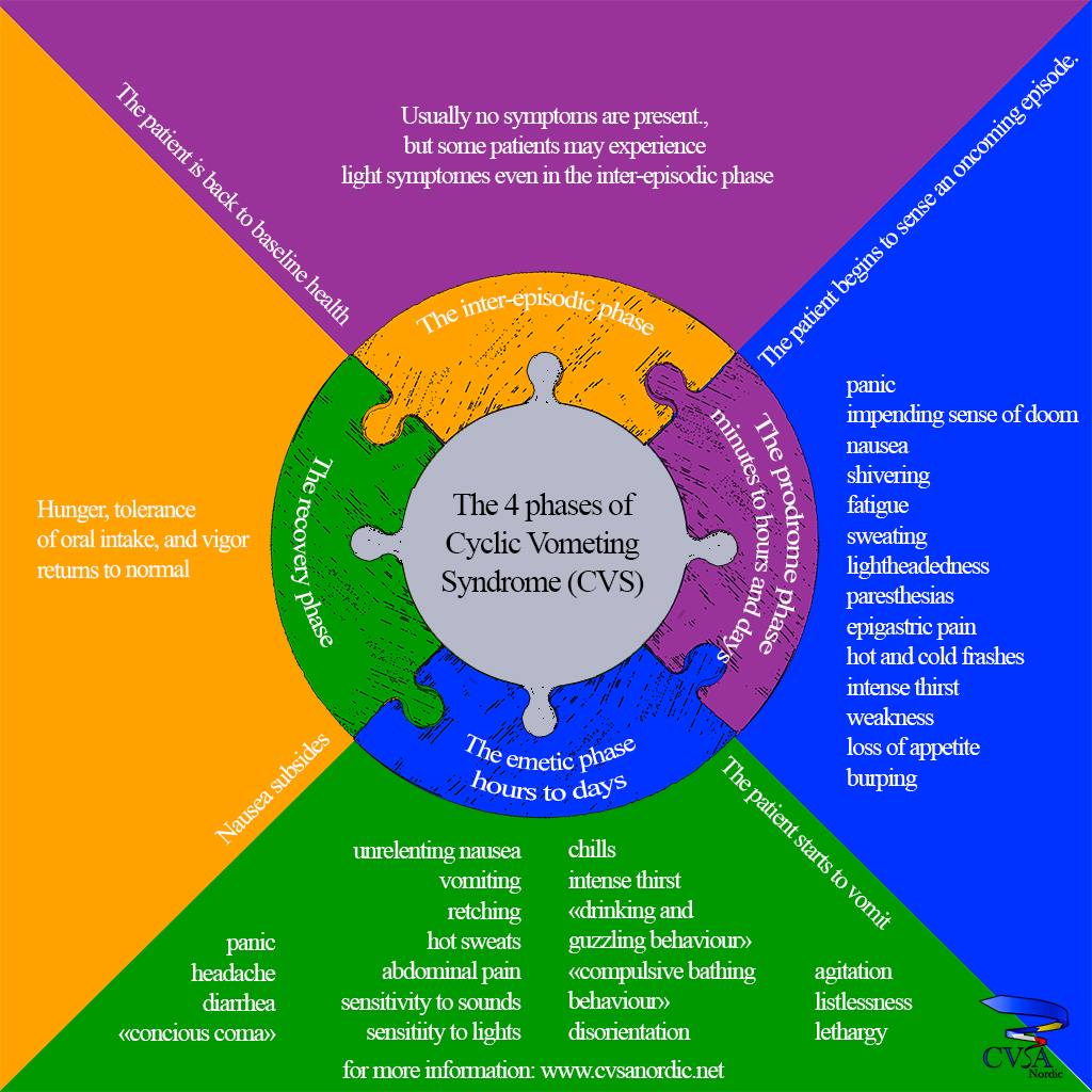 CVSA Nordic Hope starts here