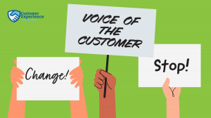 voice of the customer