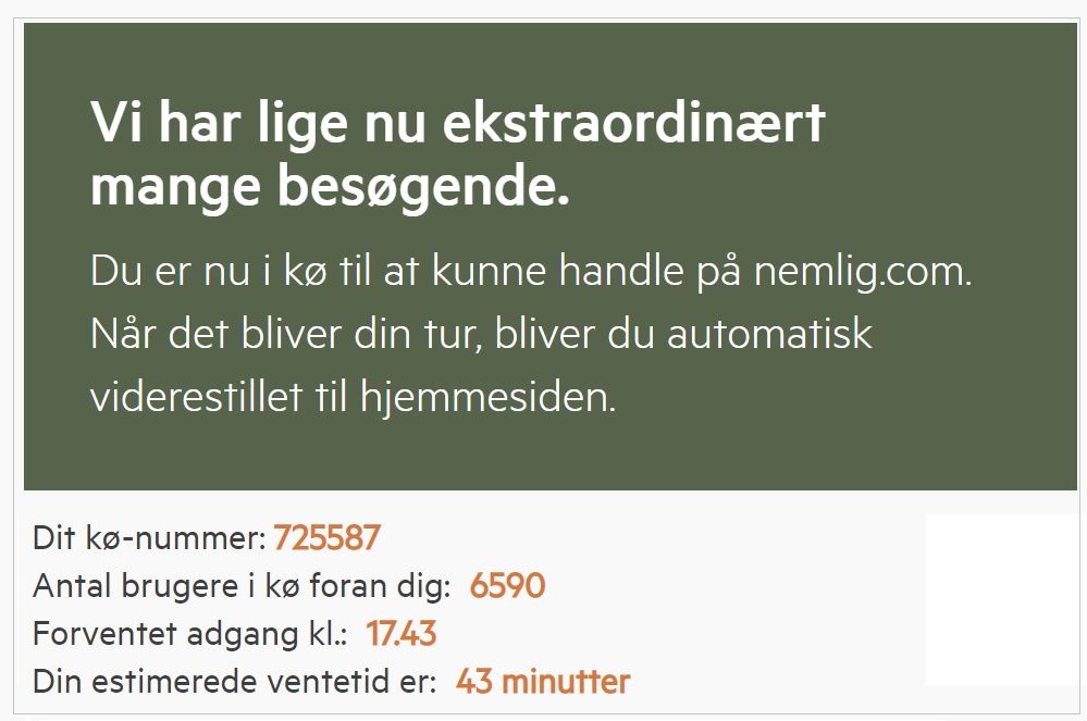 it-anvendelse giver problemer, Netbutikker med ventetid