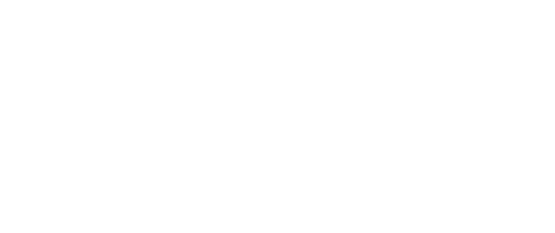 IcySecurity-logo
