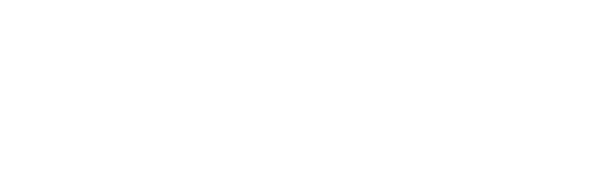 cyberskills-whitle